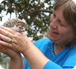 Dawn and Hedgehog